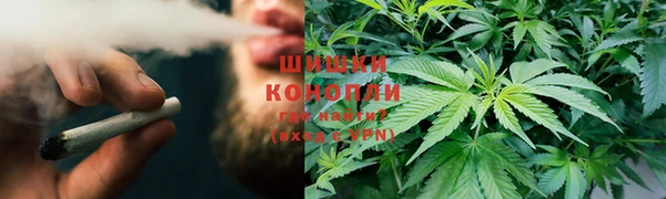 бошки Алзамай