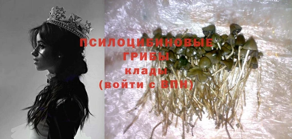 бошки Алзамай